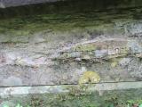 image of grave number 666013